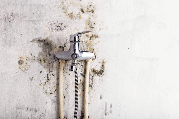 Best Insurance-Related Mold Remediation in Idabel, OK