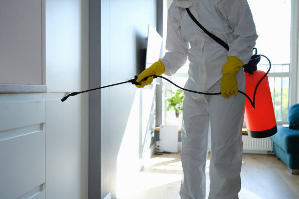 Best Kitchen Mold Remediation in Idabel, OK